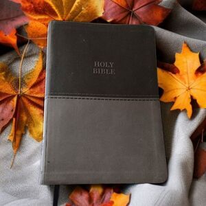 Thinline Bible Large Print Imitation Leather Red Letter‎ Edition Thomas Nelson